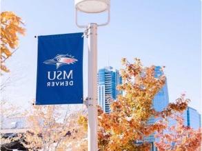 MSU Denver miniature flag on light post