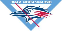 MSU Roadrunner Logo -Misuse - unapproved organization combo