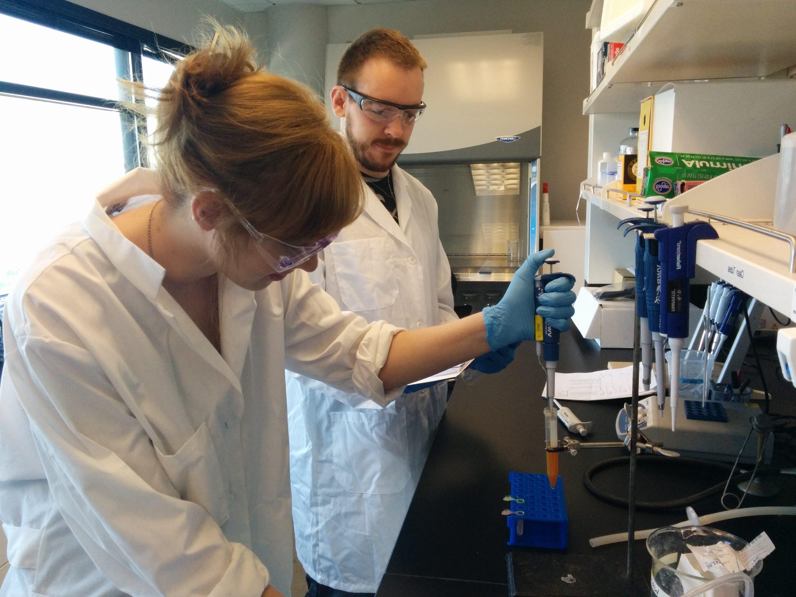 Students gather research in a lab.