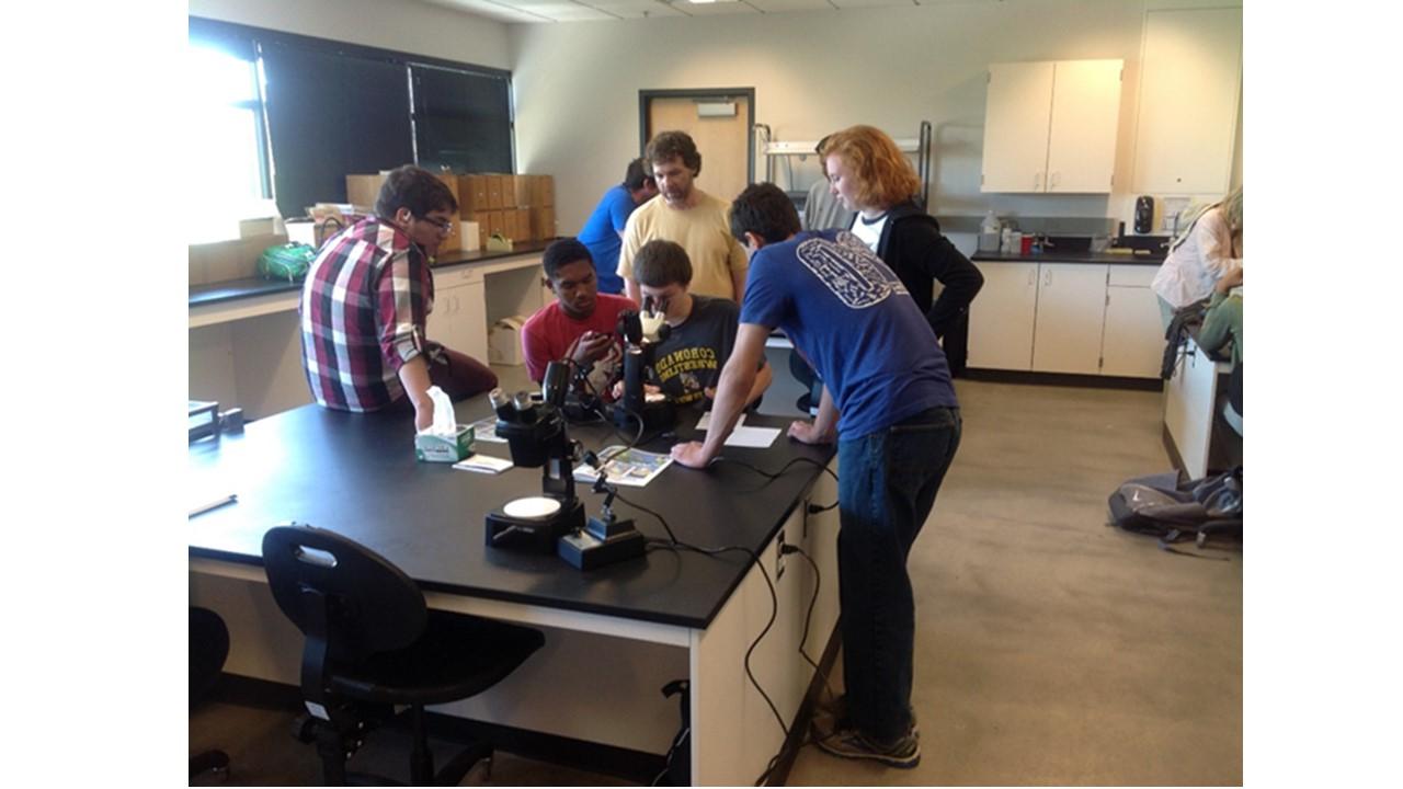 Summer Science Scholars