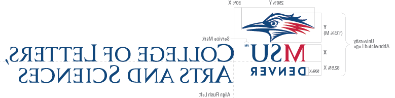 MSU Denver CLAS Spatial Relationship Med