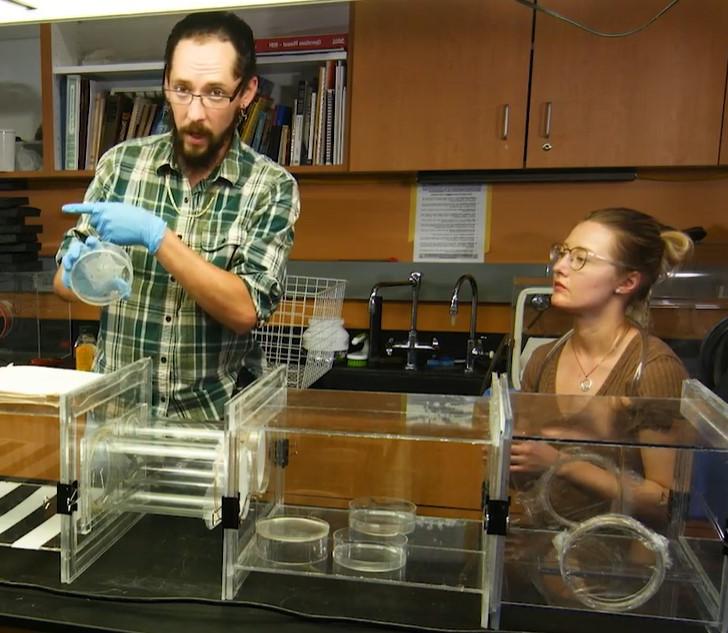 Shawn Ward and Connor O’Brien-Stoffa – Hancock Research Lab