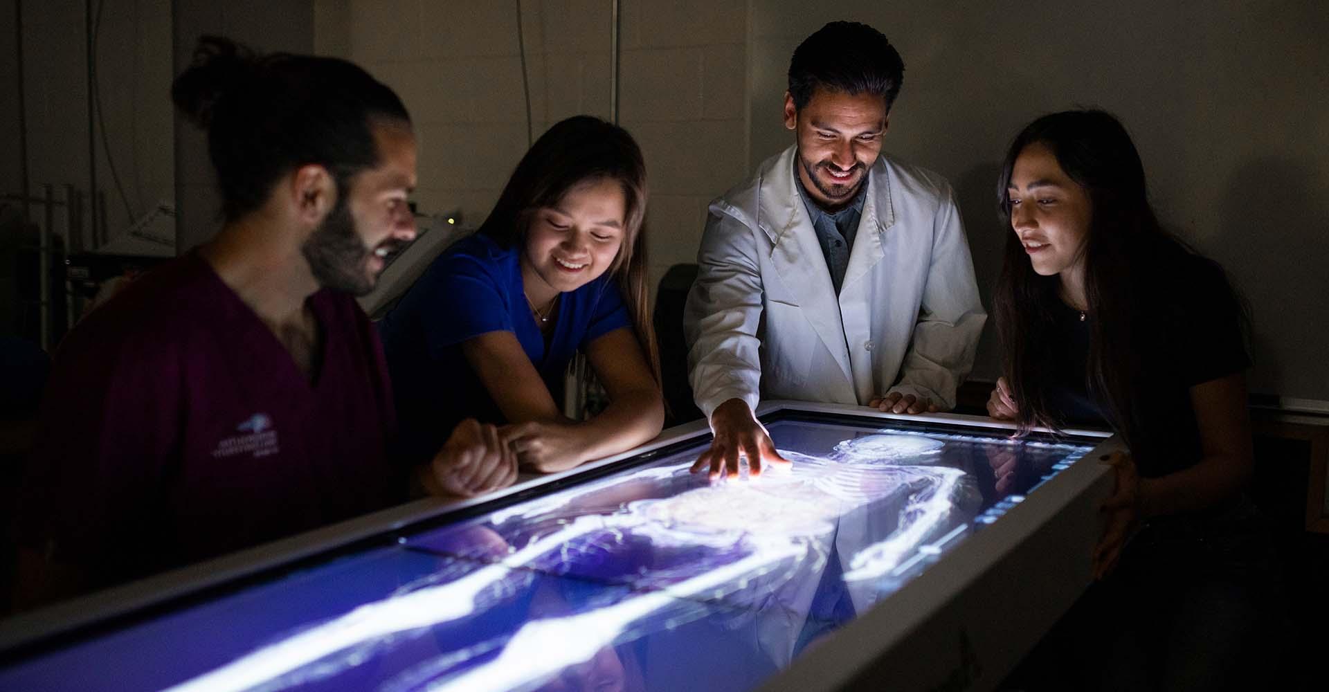 Health students examining an x-ray