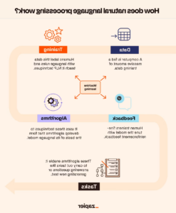 Infographic demonstrating how large language models with natural language processing capabilities are developed.