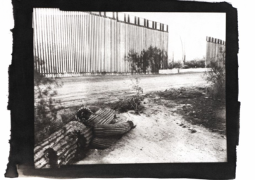 Tomiko Jones – Fallen Saguaro + Border Wall, 2019