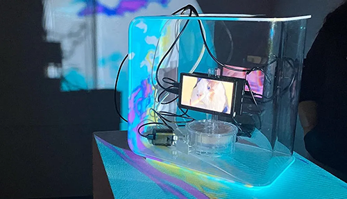 Complicated and awesome looking Experimental artwork image shows a small monitor inside a clear acrylic stylized cube encasing digital gear like device, cords, and servo. 